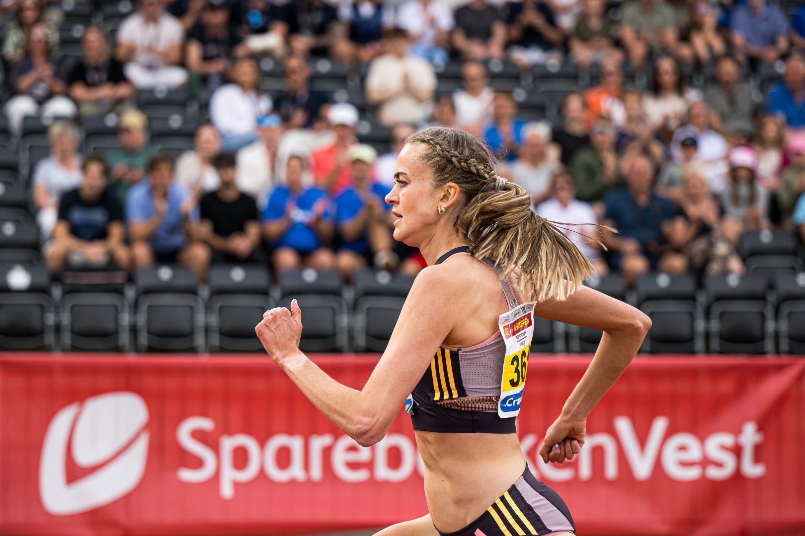 BB240522BB349 (Large)